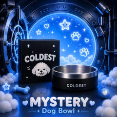 Mystery Dog Bowl